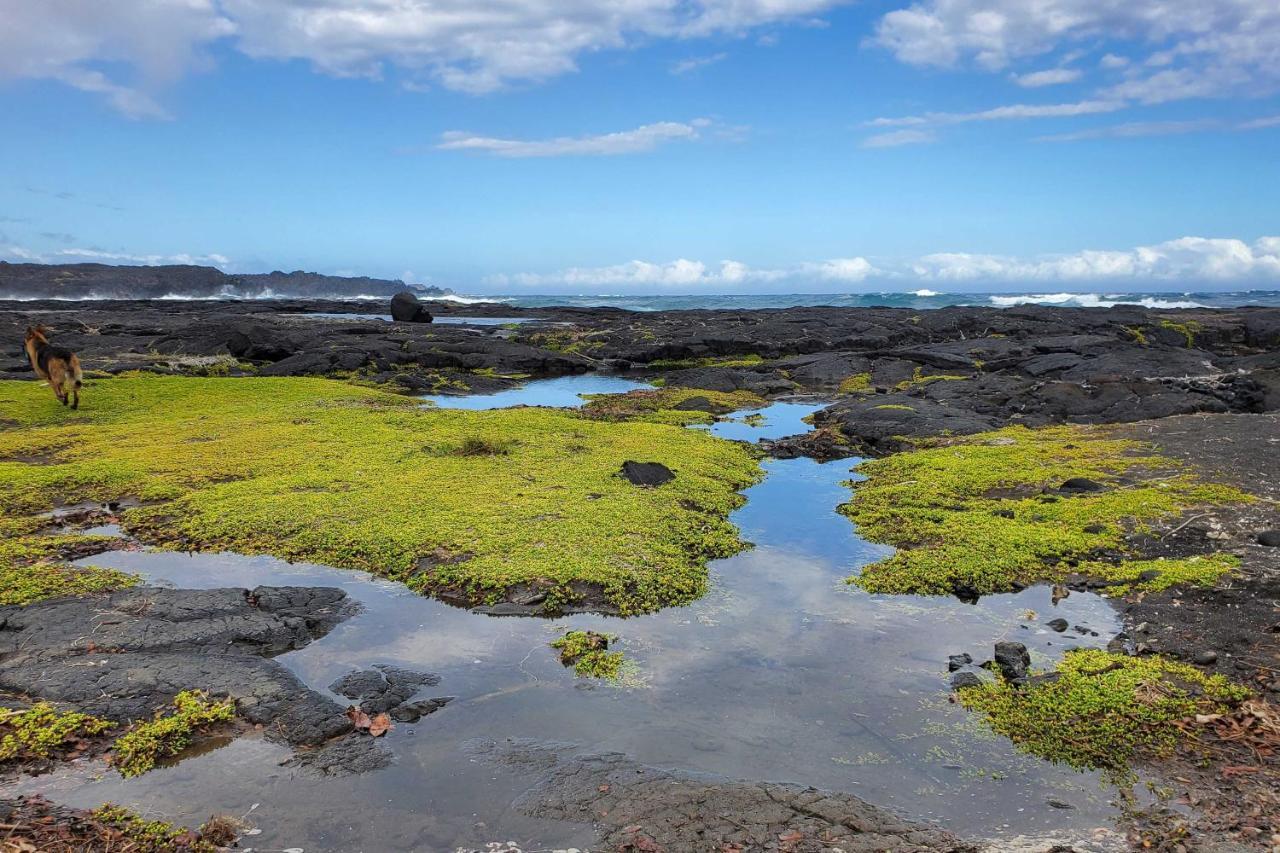 The Aloha Green House Retreat With Ocean Views! Naalehu ภายนอก รูปภาพ